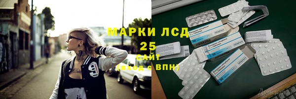 винт Горняк