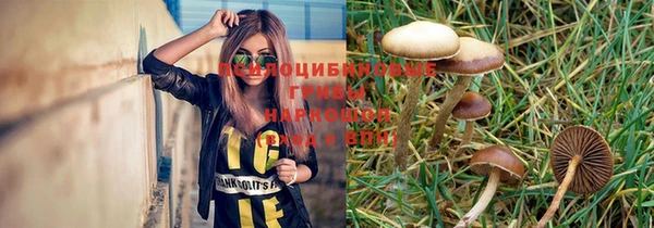 винт Горняк