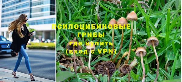 каннабис Горнозаводск