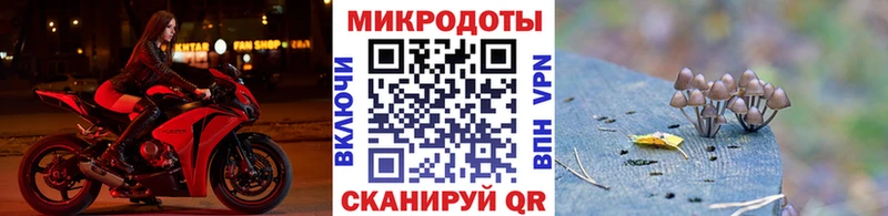 hydra ссылка  Рязань  Псилоцибиновые грибы Psilocybine cubensis 