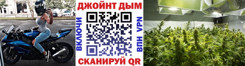 Каннабис индика  Рязань 